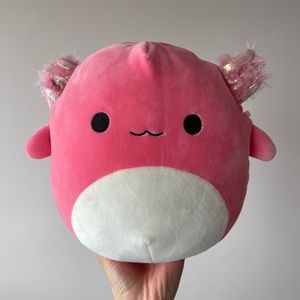 Meet your Posher, Squishmallow Delight